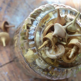 Wooden carousel