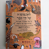האנטומיה של חיי הבר