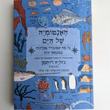 The anatomy of the sea