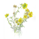 Botanical painting print - bouquets of flowers
