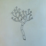 קוץ או ענף מחוט ברזל