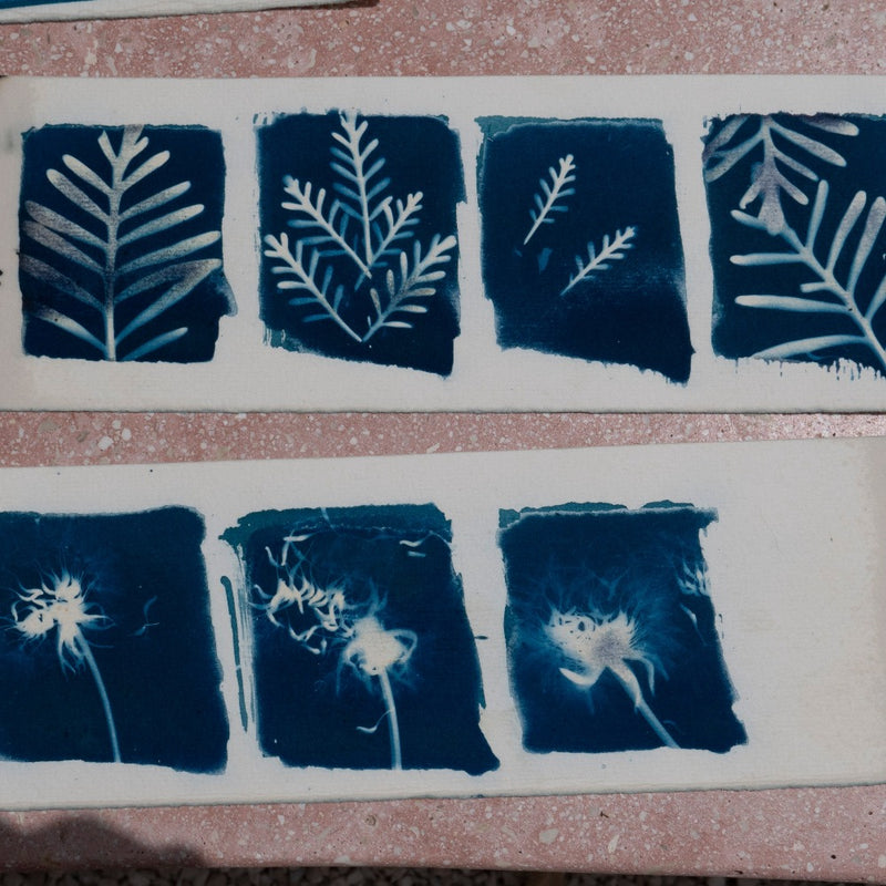 Liav Chopin - cyanotype workshop - ancient printing technique -