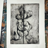 Liav Chopin - botanical monoprint workshop - a unique print technique