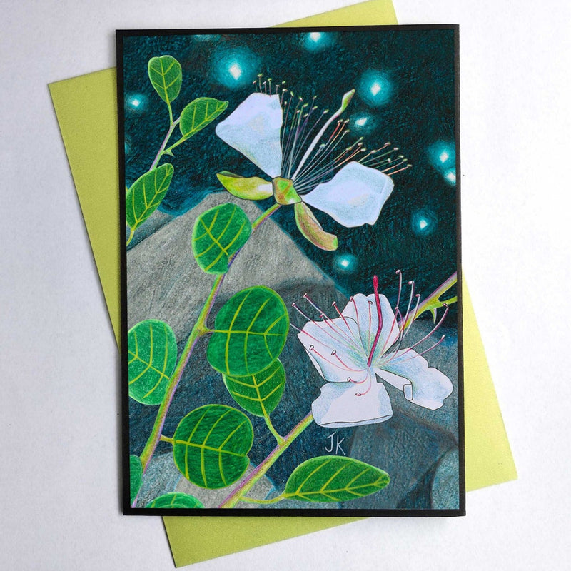 כרטיס ברכה קטן טבעארט