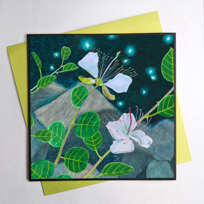 כרטיס ברכה גדול טבעארט