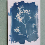 Liav Chopin - cyanotype workshop - ancient printing technique -