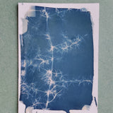 Liav Chopin - cyanotype workshop - ancient printing technique -