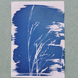 Liav Chopin - cyanotype workshop - ancient printing technique -